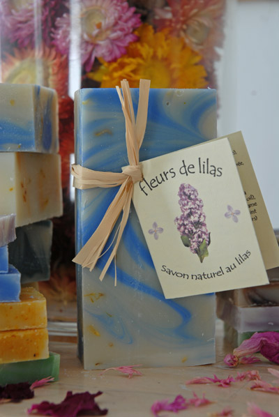 Les fleurs de lilas (lilas)